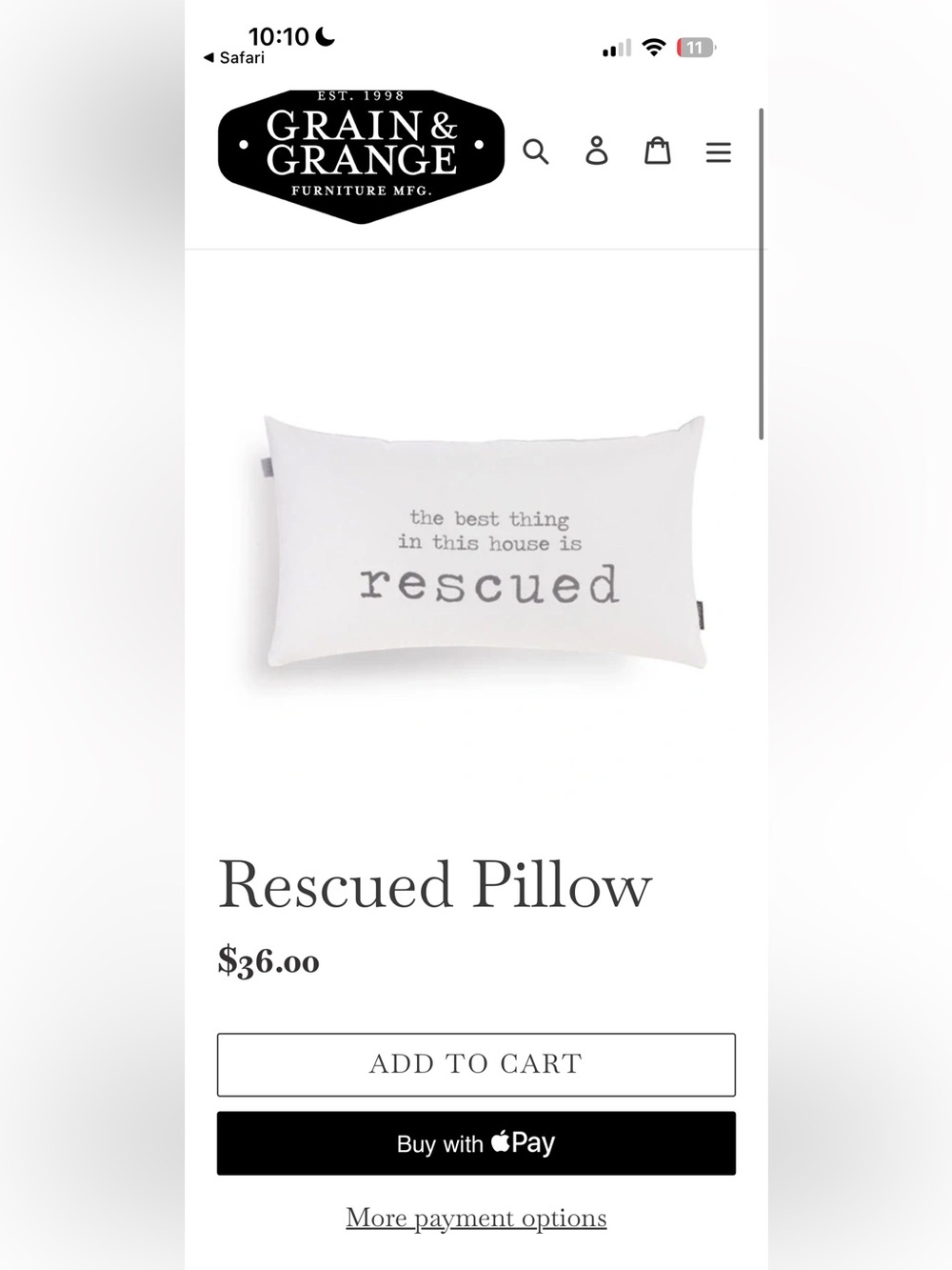 Rescued Pillow 21x12